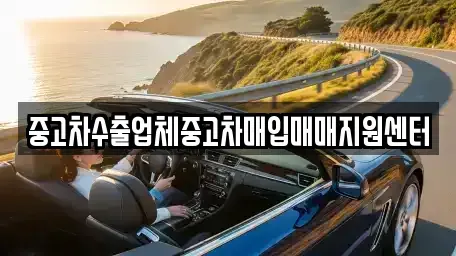 경상북도 경주시 노동동 중고차매입 전문 중고차수출업체중고차매입매매지원센터