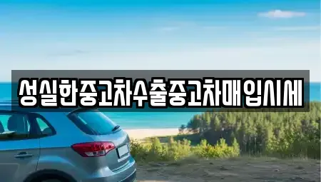 경상북도 경주시 현곡면 중고차 전문 성실한중고차수출중고차매입시세