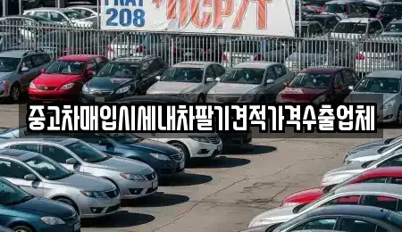 경상북도 경주시 황남동 중고차매입 전문 중고차매입시세내차팔기견적가격수출업체
