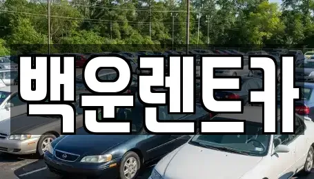 경상북도 구미시 비산동 렌트카 전문 백운렌트카