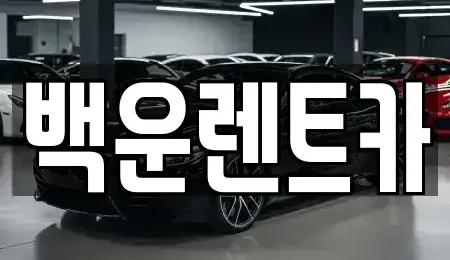경상북도 구미시 산동읍 렌트카 전문 백운렌트카
