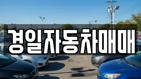 경상북도 구미시 산동읍 중고차 전문 경일자동차매매