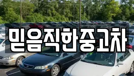 경상북도 구미시 임은동 중고차매매 전문 믿음직한중고차