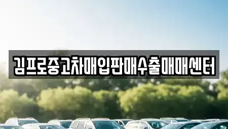 경상북도 구미시 임은동 중고차매입 전문 김프로중고차매입판매수출매매센터