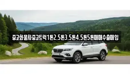경상북도 구미시 임은동 중고차매입 전문 중고화물차중고트럭1톤2.5톤3.5톤4.5톤5톤매매수출매입