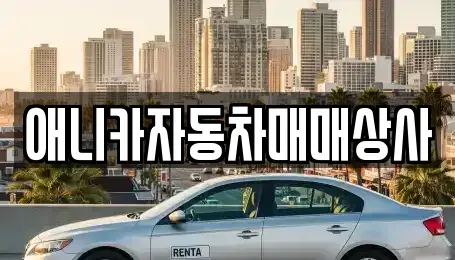 경상북도 구미시 중고차 전문 애니카자동차매매상사