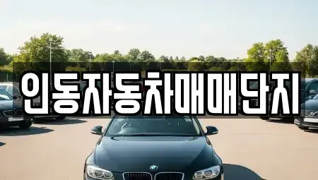 경상북도 구미시 중고차 전문 인동자동차매매단지