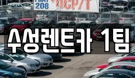 경상북도 구미시 지산동 렌트카 전문 수성렌트카 1팀