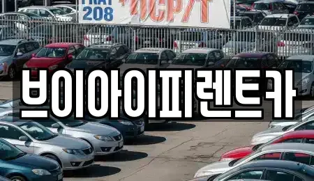 경상북도 구미시 지산동 장기렌트카 전문 브이아이피렌트카