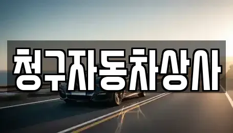 경상북도 상주시 낙동면 중고차 전문 청구자동차상사