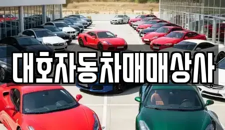 경상북도 상주시 헌신동 중고차매매 전문 대호자동차매매상사