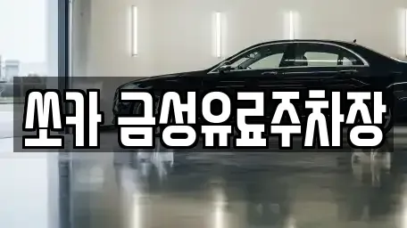 경상북도 안동시 명륜동 렌트카 전문 쏘카 금성유료주차장