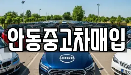 경상북도 안동시 명륜동 중고차 전문 안동중고차매입