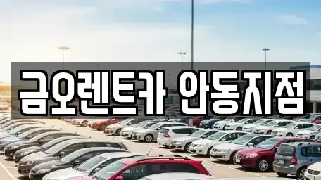 경상북도 안동시 용상동 렌트카 전문 금오렌트카 안동지점