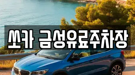 경상북도 안동시 용상동 렌트카 전문 쏘카 금성유료주차장