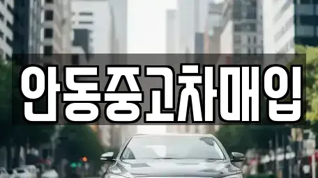 경상북도 안동시 용상동 중고차 전문 안동중고차매입