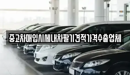 경상북도 안동시 용상동 중고차 전문 중고차매입시세내차팔기견적가격수출업체