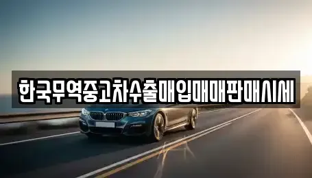 경상북도 안동시 용상동 장기렌트카,중고차,렌트카,단기렌트카,중고차매입,중고차매매
