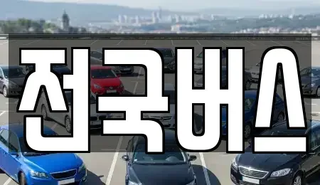 경상북도 영천시 범어동 중고차매매 전문 전국버스