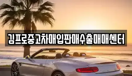 경상북도 의성군 단촌면 중고차매입 전문 김프로중고차매입판매수출매매센터