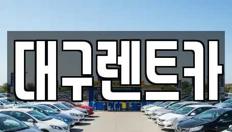경상북도 의성군 렌트카 전문 대구렌트카