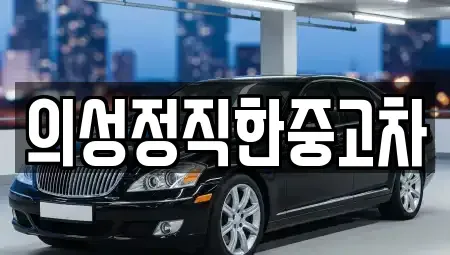 경상북도 의성군 안사면 장기렌트카,중고차,렌트카,단기렌트카,중고차매입,중고차매매