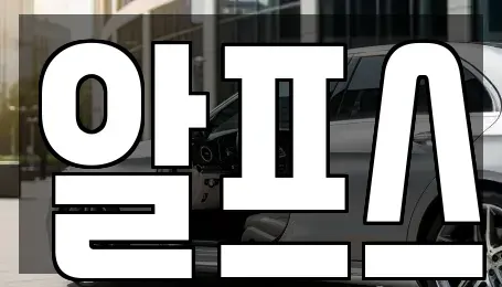 경상북도 포항시 남구 일월동 렌트카 전문 알프스