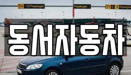 경상북도 포항시 남구 일월동 중고차 전문 동서자동차
