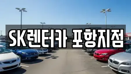 경상북도 포항시 북구 양덕동 장기렌트카 전문 SK렌터카 포항지점