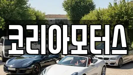 경상북도 포항시 북구 중고차매매 전문 코리아모터스