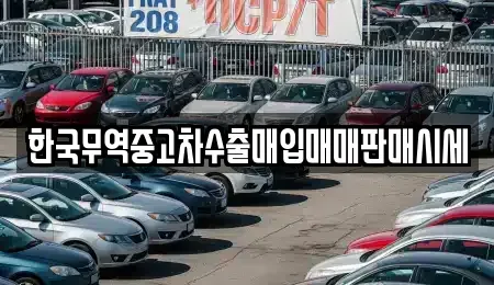 경상북도 포항시 북구 중고차매매 전문 한국무역중고차수출매입매매판매시세