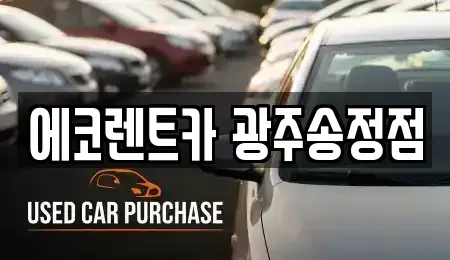 광주 광산구 도산동 렌트카 전문 에코렌트카 광주송정점