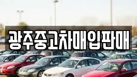 광주 광산구 도산동 중고차 전문 광주중고차매입판매