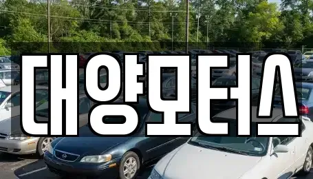 광주 광산구 도산동 중고차 전문 대양모터스