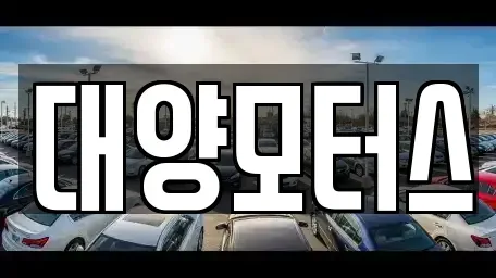 광주 광산구 선동 중고차매매 전문 대양모터스