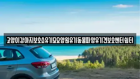광주 광산구 지평동 중고차 전문 고양이강아지보호소유기묘요양원유기동물파양유기견보호센터쉼터