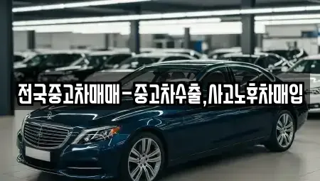 광주 남구 사동 중고차 전문 전국중고차매매-중고차수출,사고노후차매입