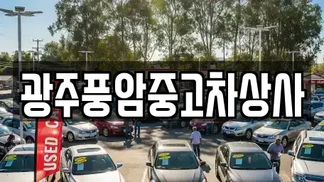 광주 동구 월남동 중고차 전문 광주풍암중고차상사