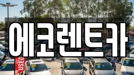 광주 동구 충장로4가 렌트카 전문 에코렌트카
