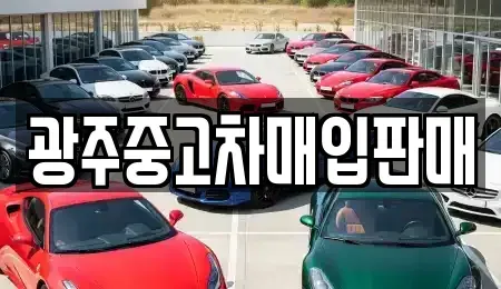 광주 북구 두암동 중고차매입 전문 광주중고차매입판매