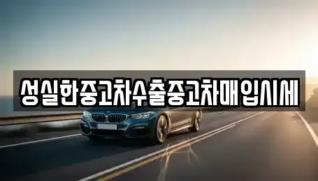 광주광역시 광산구 두정동 중고차매매 전문 성실한중고차수출중고차매입시세