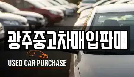 광주광역시 광산구 복룡동 중고차매매 전문 광주중고차매입판매