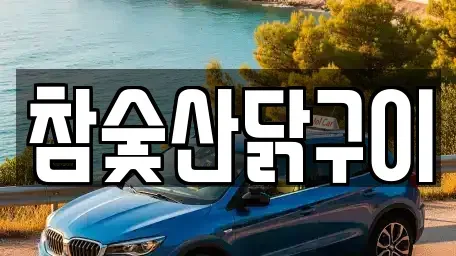 광주광역시 광산구 신창동 중고차매매 전문 참숯산닭구이