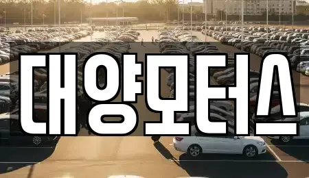 광주광역시 광산구 연산동 중고차매매 전문 대양모터스