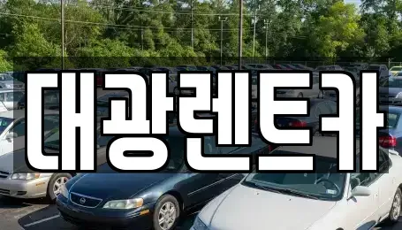 광주광역시 북구 북동 장기렌트카 전문 대광렌트카