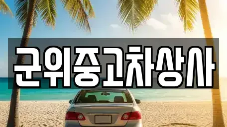 대구 군위군 중고차매매,단기렌트카,중고차매입,장기렌트카,중고차,렌트카