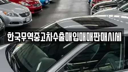 대구 달서구 본동 중고차 전문 한국무역중고차수출매입매매판매시세