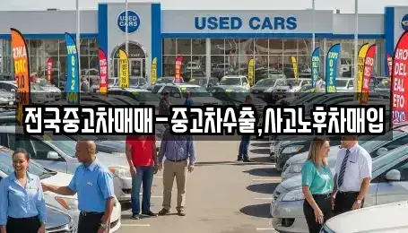 대구 달서구 본동 중고차매입 전문 전국중고차매매-중고차수출,사고노후차매입
