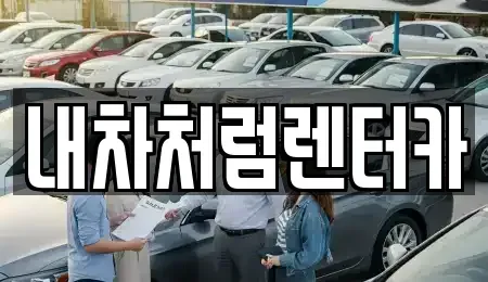 대구 달서구 월성동 렌트카 전문 내차처럼렌터카