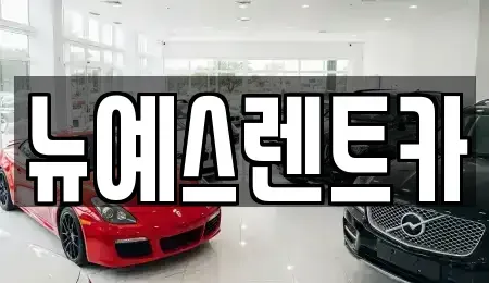 대구 달서구 월성동 렌트카 전문 뉴예스렌트카